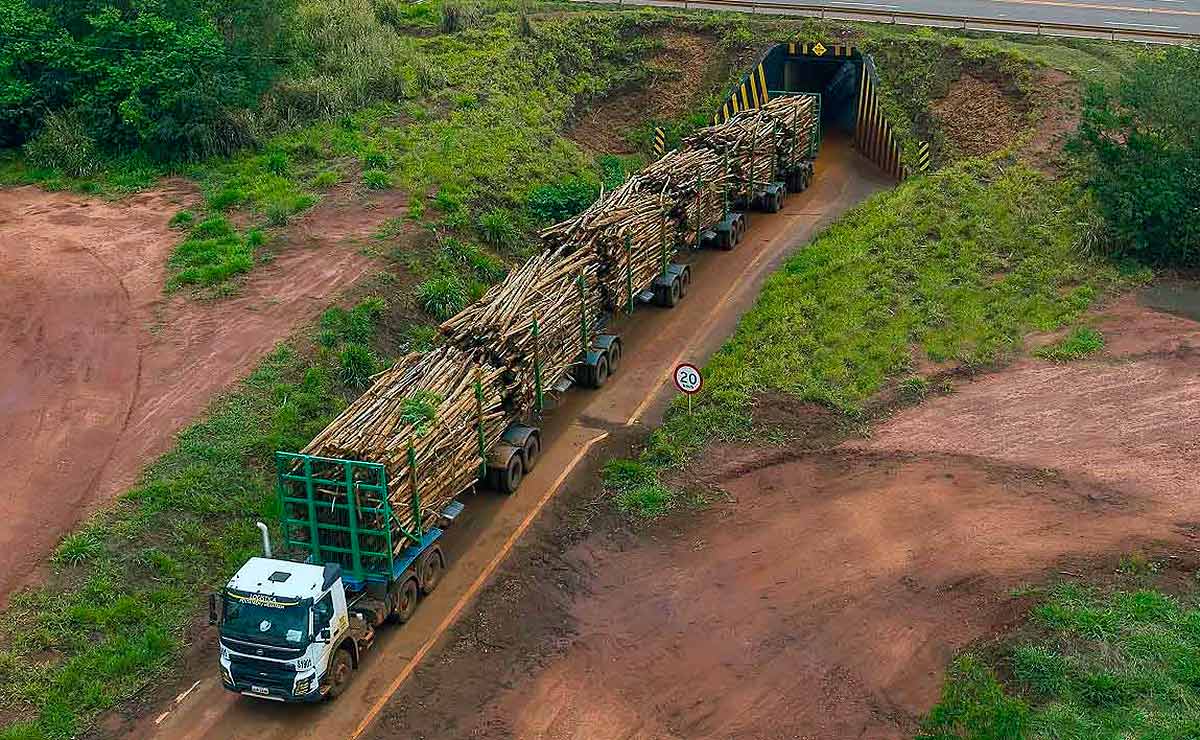 hexatrenes-volvo-fmx-autorizados-rutas-brasil